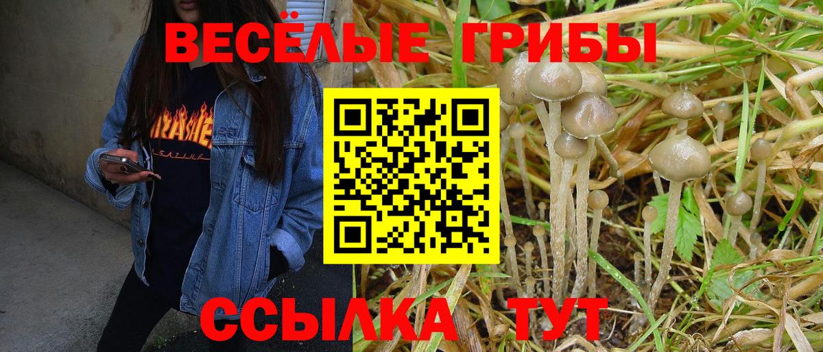 Псилоцибиновые грибы мицелий  Вход с VPN  Боровичи 